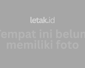 placeholder business without image